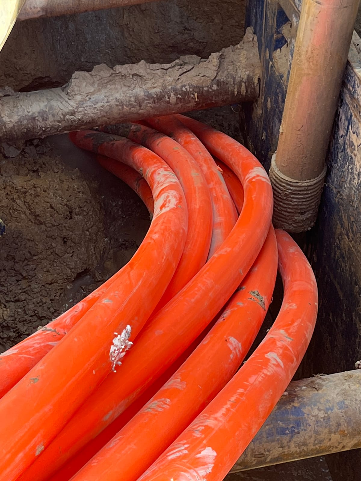 Robinson Trenching Project